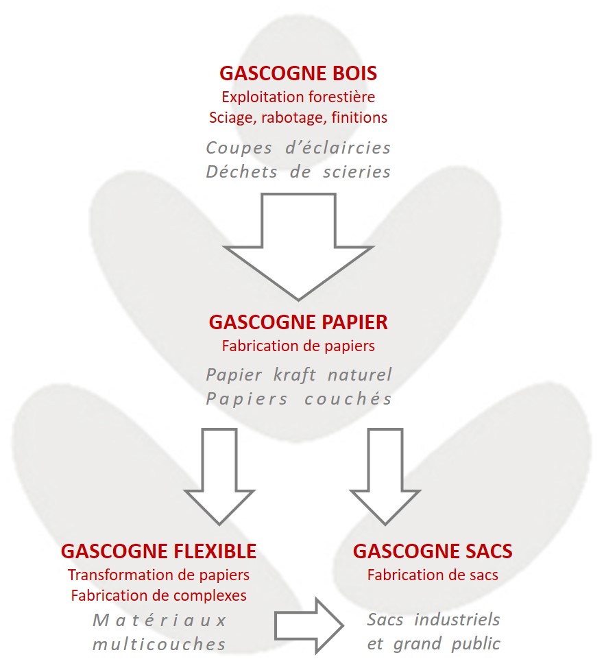 Gascogne : 4 activités complémentaires & intégrées dans la filière